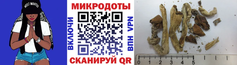 купить   Тольятти  Псилоцибиновые грибы прущие грибы 
